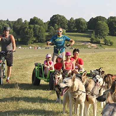 Free sled - Chiens de traîneaux / kart, cani-rando et cani-trotinette