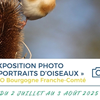 Exposition photo « Portraits d’Oiseaux » de la LPO Bourgogne Franche-Comté - MALAIN