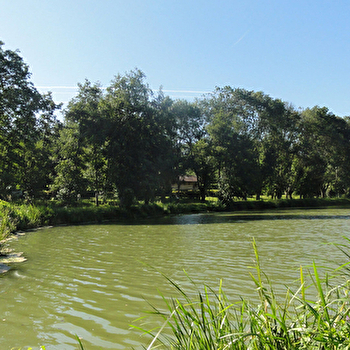 Le bocage de Cormoz - Etang de Mépillat (VTT) - CORMOZ