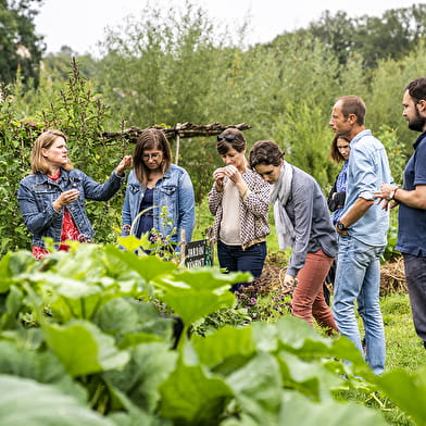 Festin de plantes