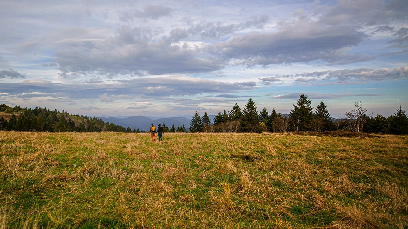 GR59 en Haute-Saône