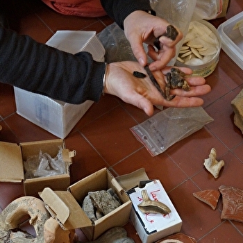 Les vacances d'automne pour les 6/12 ans - AUTUN