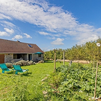 Mandadodo - BONNAY-SAINT-YTHAIRE