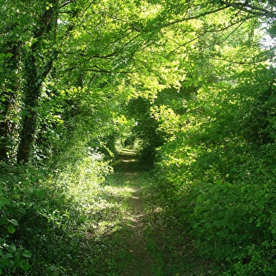 Sentier d'interprétation du Magny