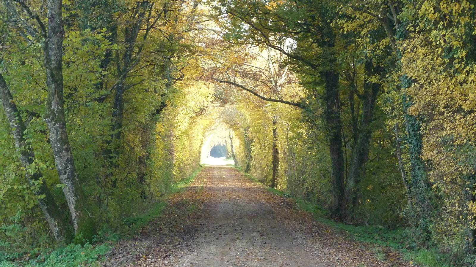 D'un rail a l'autre