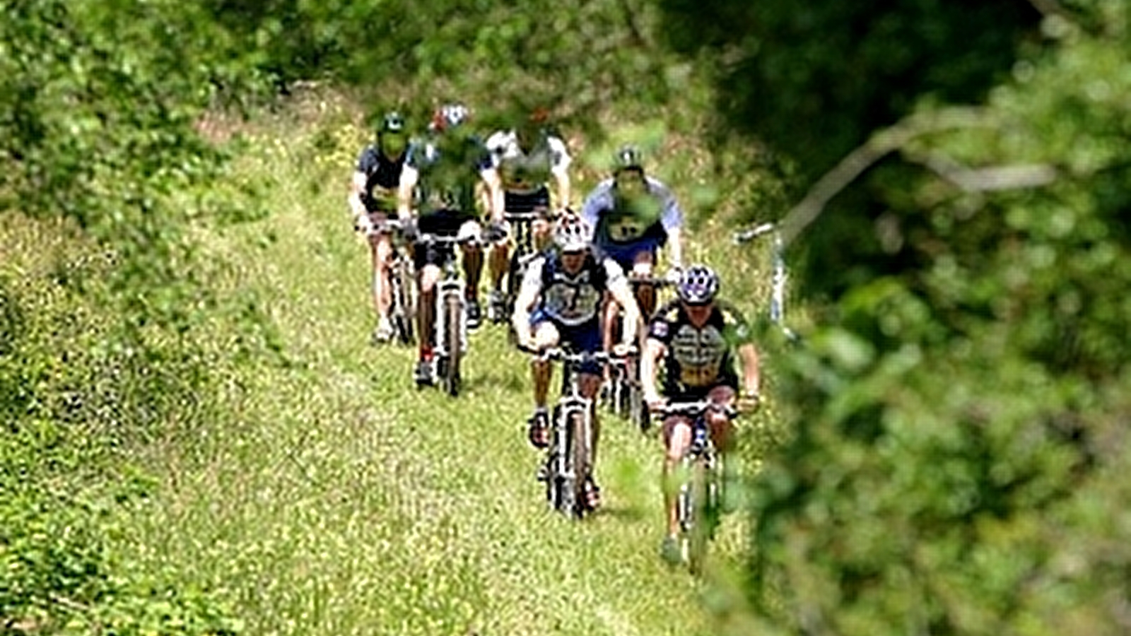 VTT dans les Monts de Gy : Circuit 59 'Vauvenise'