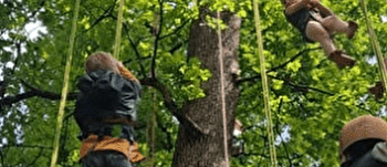 Grimpe d'arbre à Choye - COLOMBINE