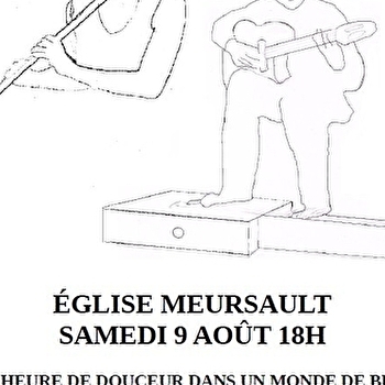 Concert Duo Arrin : beaucoup plus qu'un style de musique - MEURSAULT
