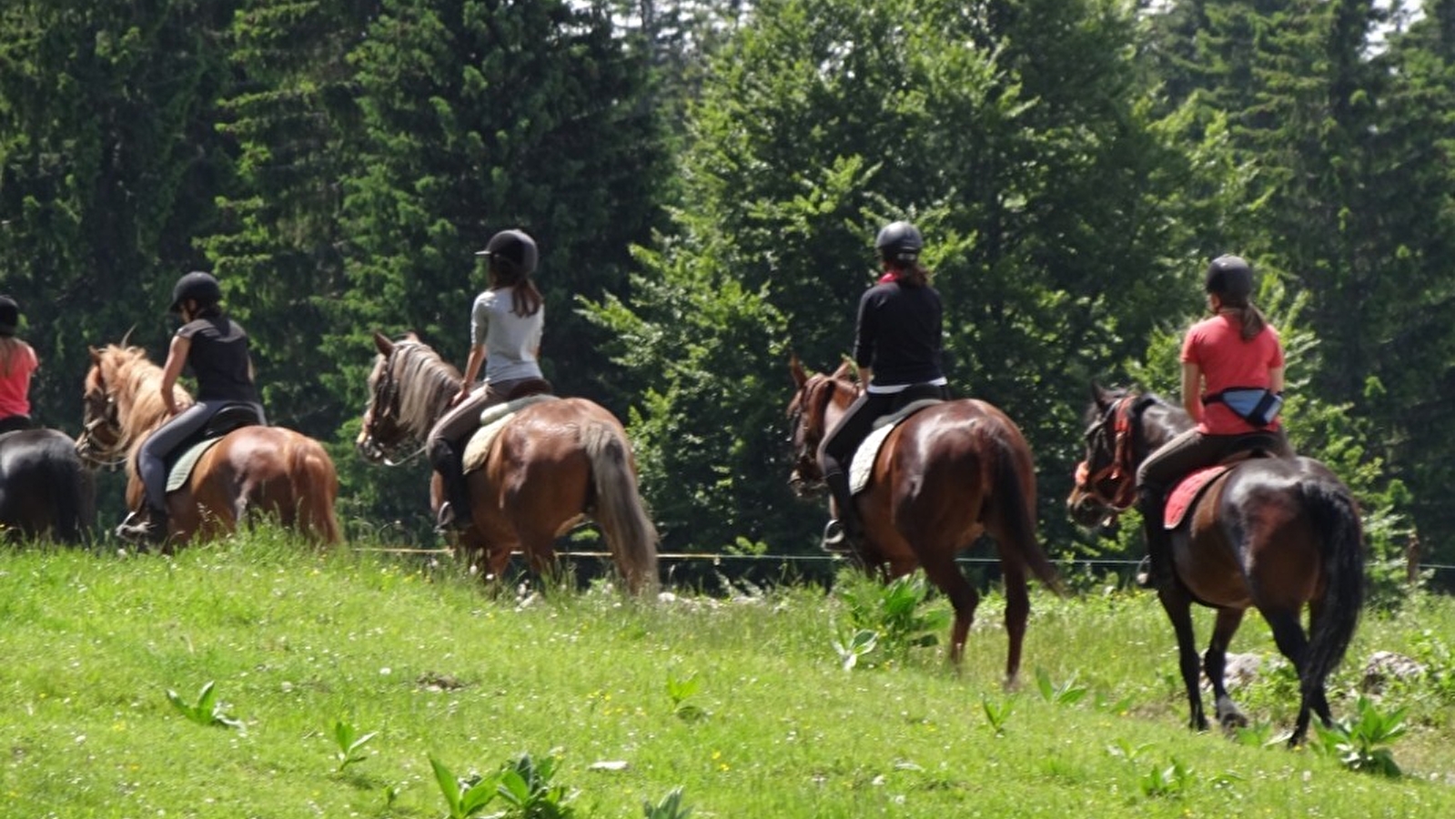 Randonnée à cheval - niveau confirmé