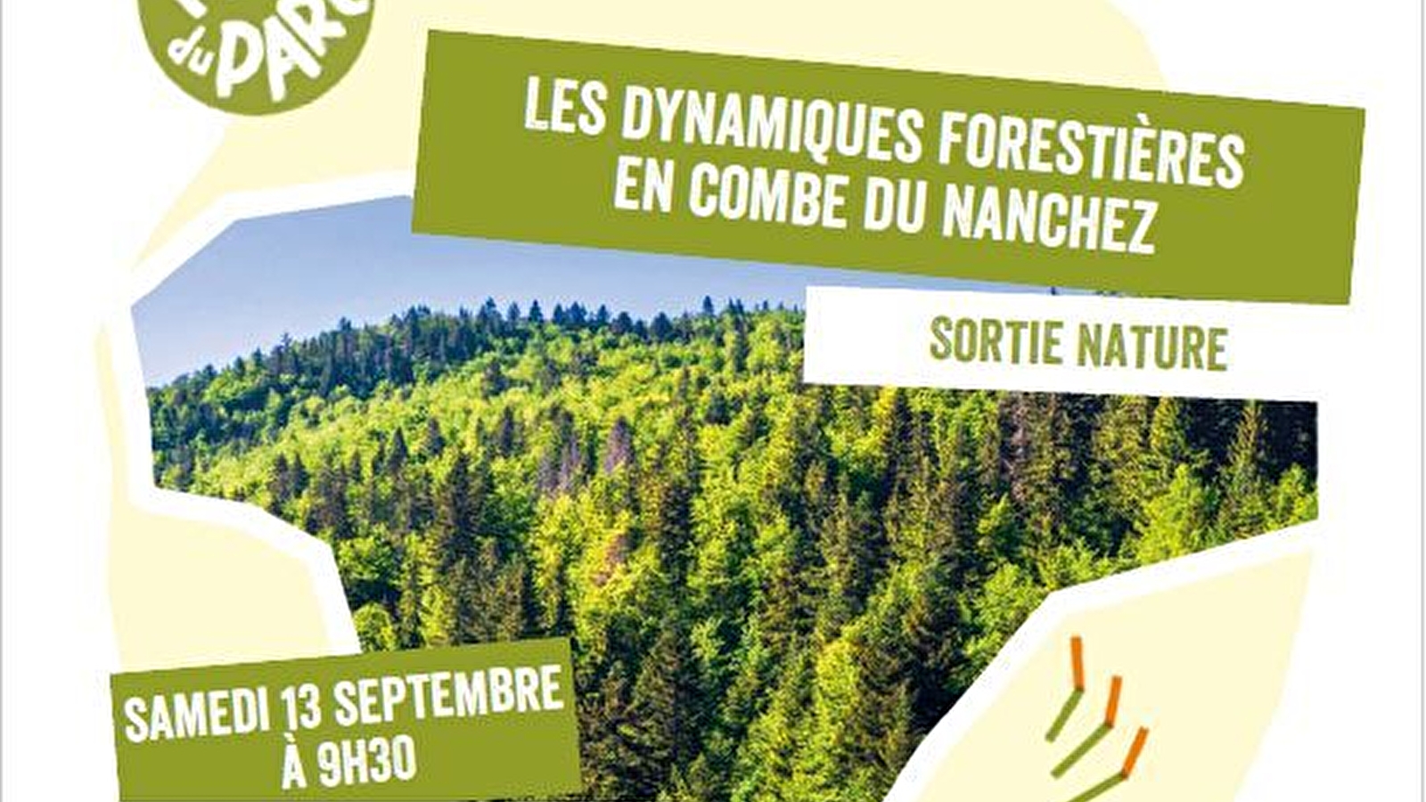Sortie nature 'Les dynamiques forestières'