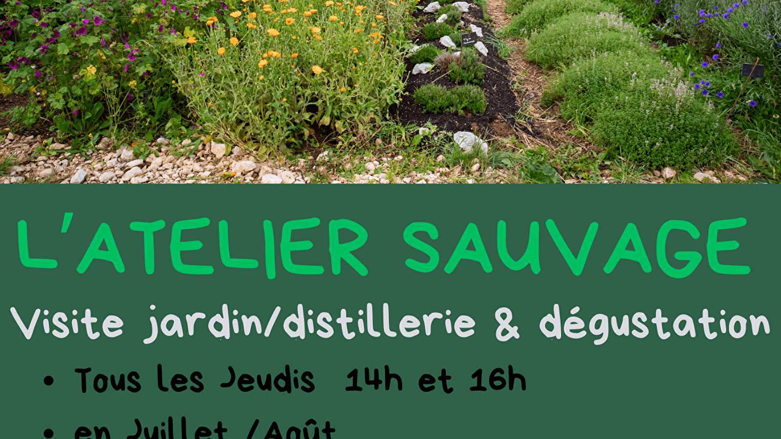 Visite jardin/distillerie/dégustation
