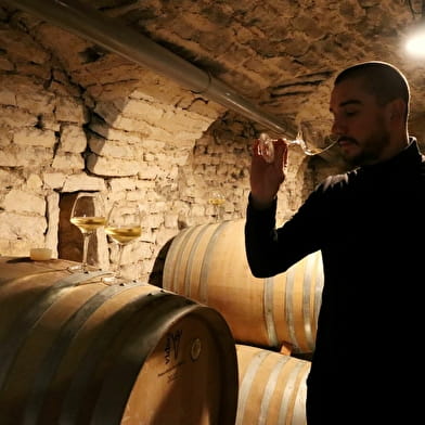 Découverte et dégustation du Chai Urbain BIO « La Cuve en Ville » au cœur de Dijon - La Fine Heure