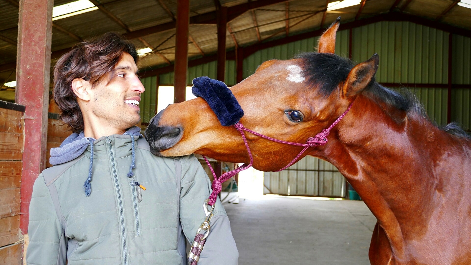 Haras du Val des Charmes