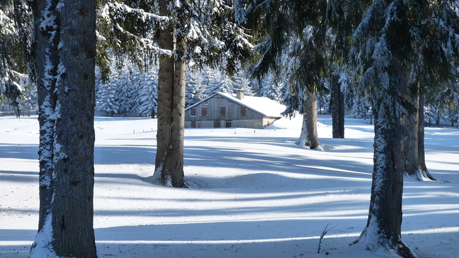 Site Raquettes de Mouthe - Chez Liadet - Les Combes Derniers