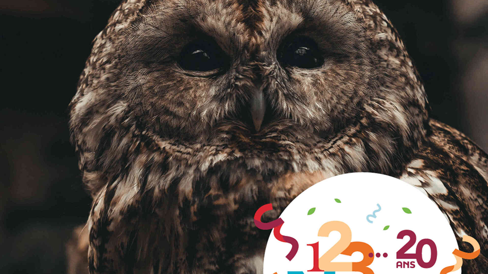 ATELIER FAMILLE 123 NATURE : CHOUETTES ET HIBOUX