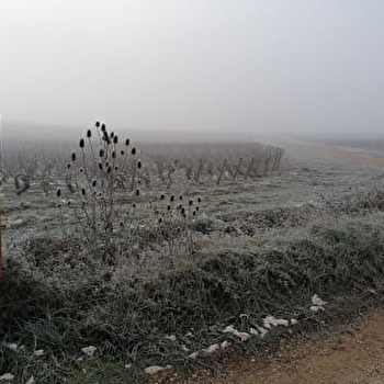 Lieu de parachutage - Seconde Guerre mondiale - RULLY