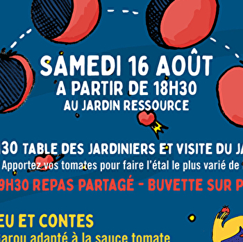 Tomates et Cosmos - TANNERRE EN PUISAYE