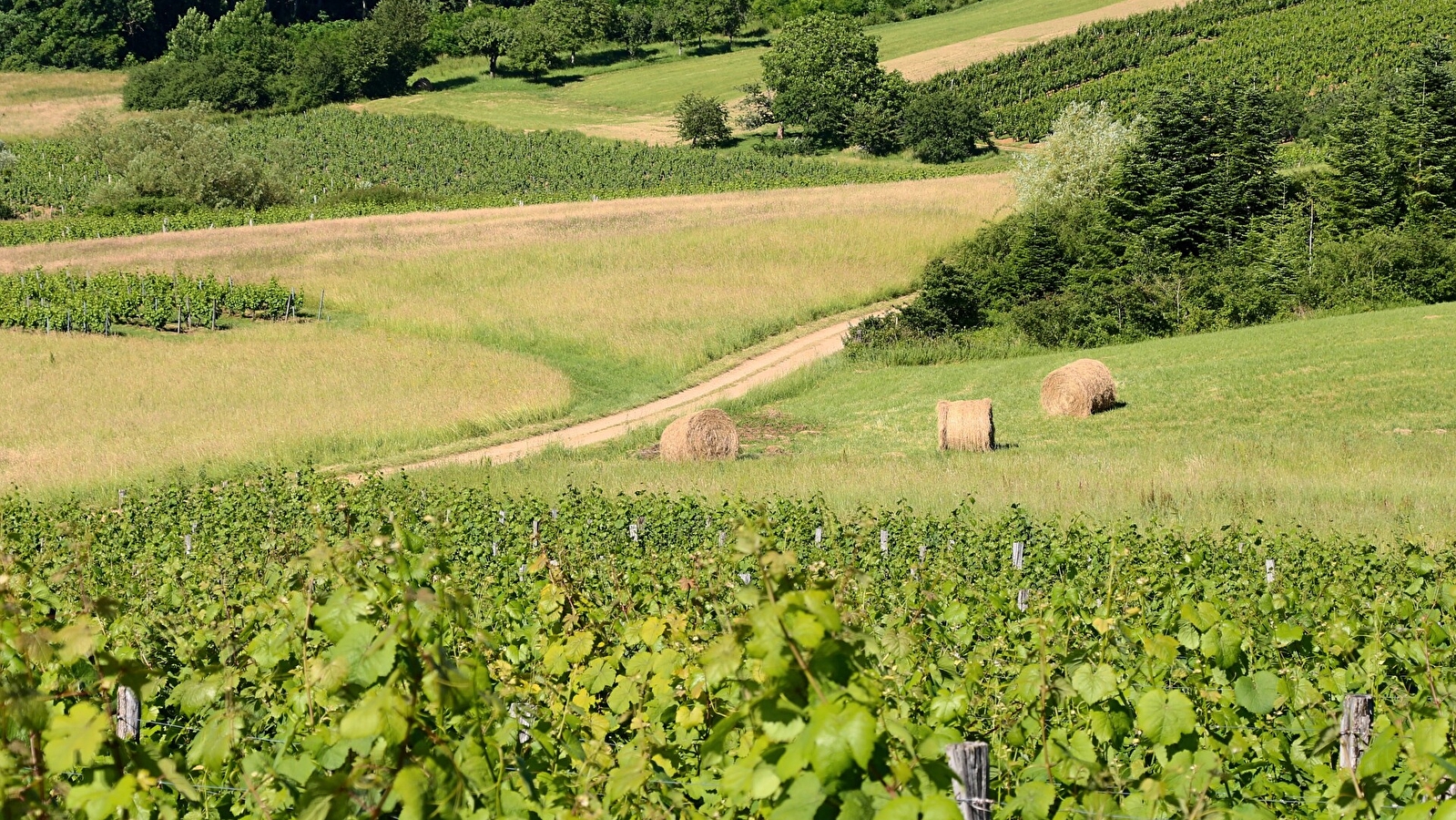 La Boucle de Montorient