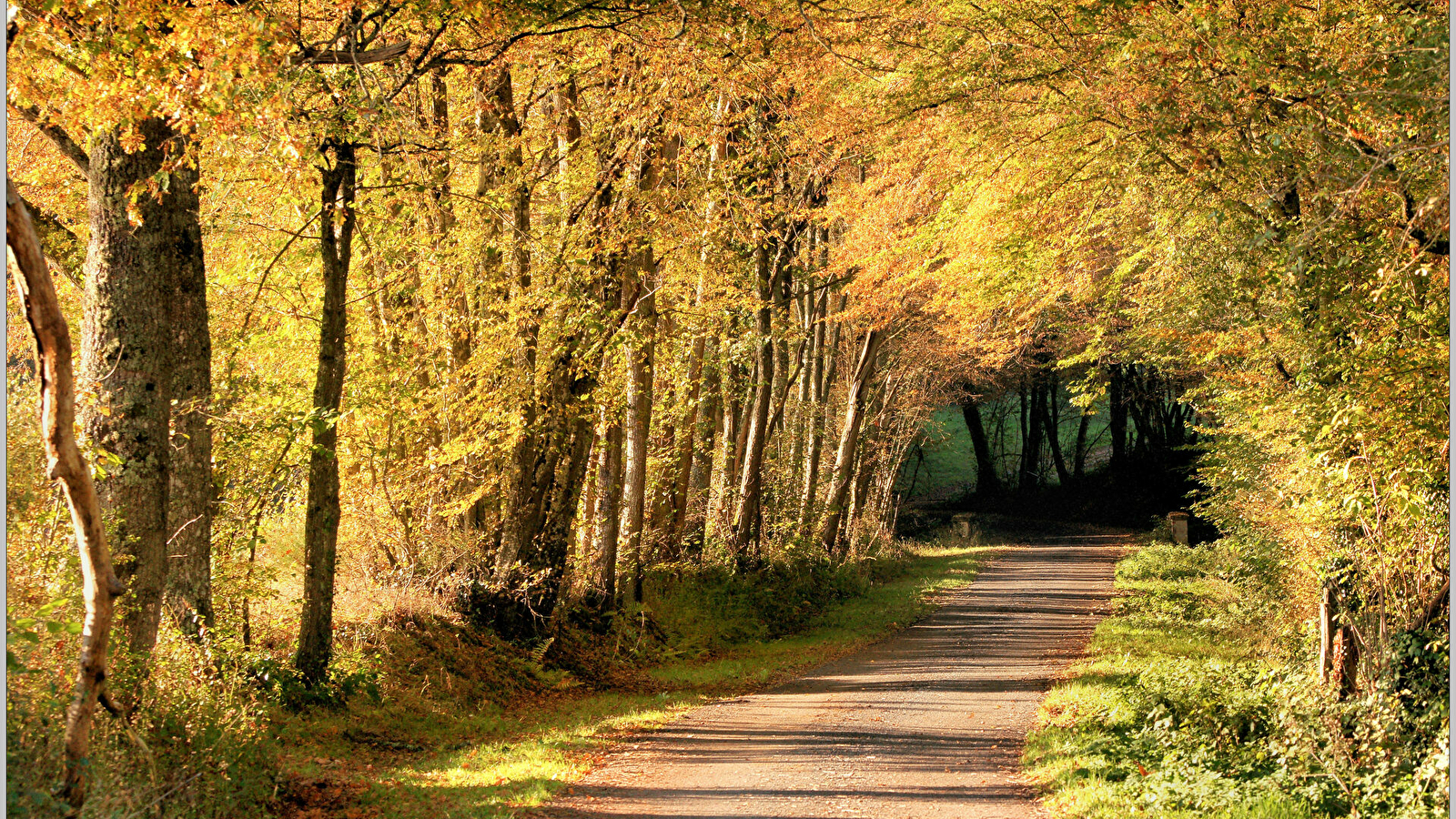 Sentier Colette