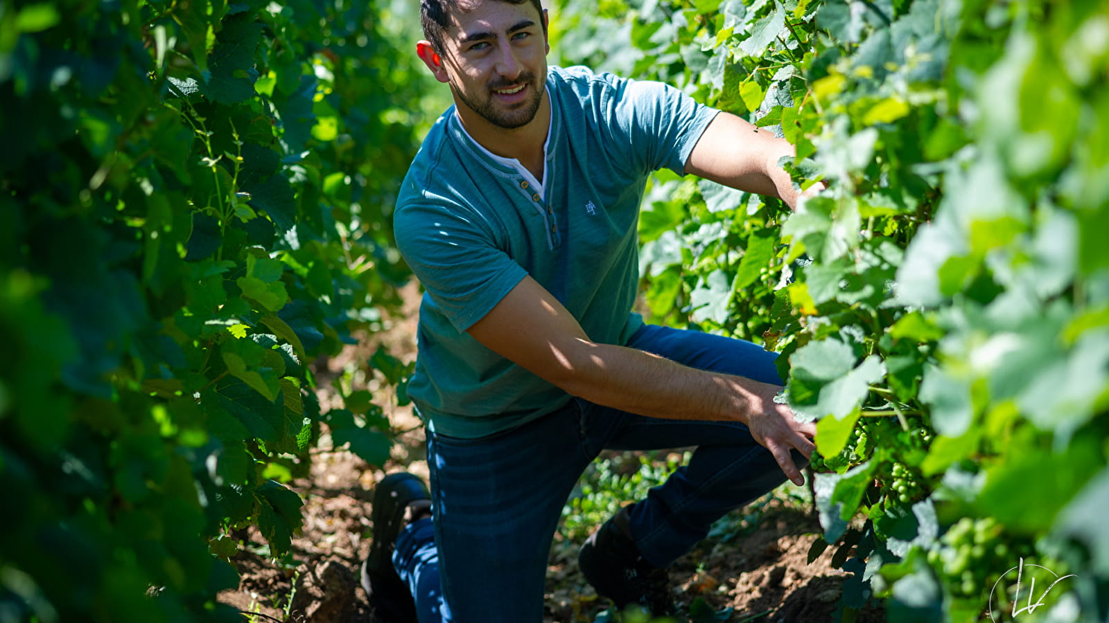 Vincent ROYET - Grands Vins de Bourgogne