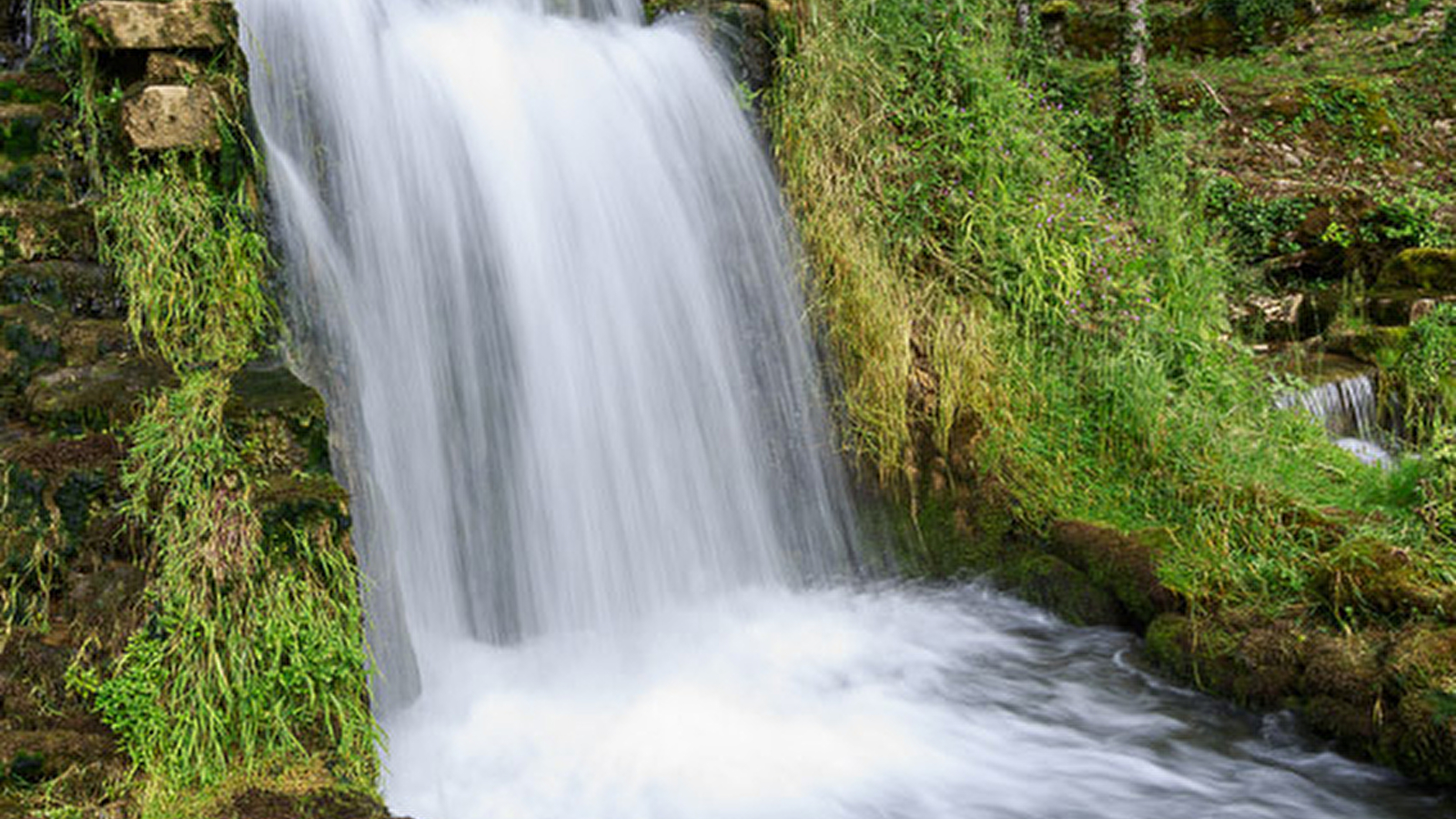 La source du suran