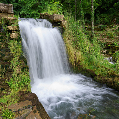 La source du suran