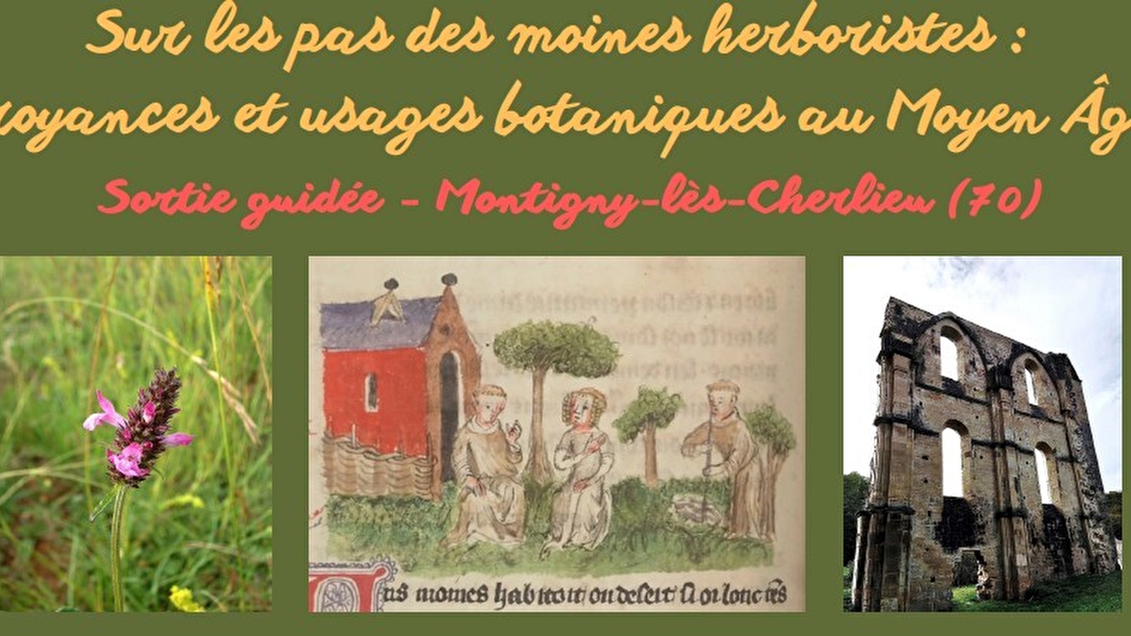 Sortie guidée 'Sur les pas des moines herboristes: croyances et usages botaniques au Moyen-Âge'