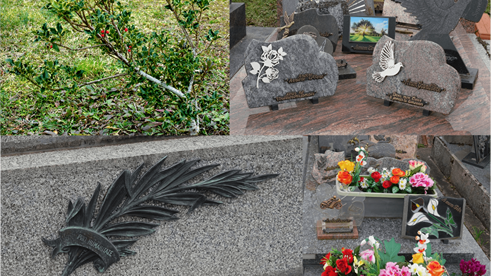 La faune et la flore au cimetière de Bellechaume