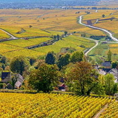 Wine & Tours, Côte de Beaune