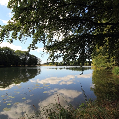 Lac et Fôret des Sept Chevaux