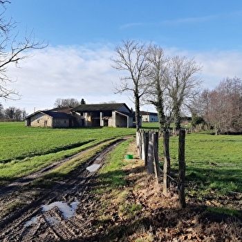 Sur les chemins de St Didier d'Aussiat (VTT) - SAINT-DIDIER-D'AUSSIAT