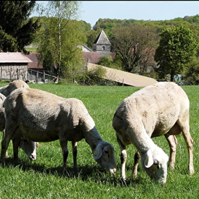 Ferme des Aubracs