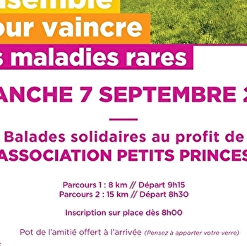 Balades solidaires - Ensemble pour vaincre les maladies rares - AVALLON
