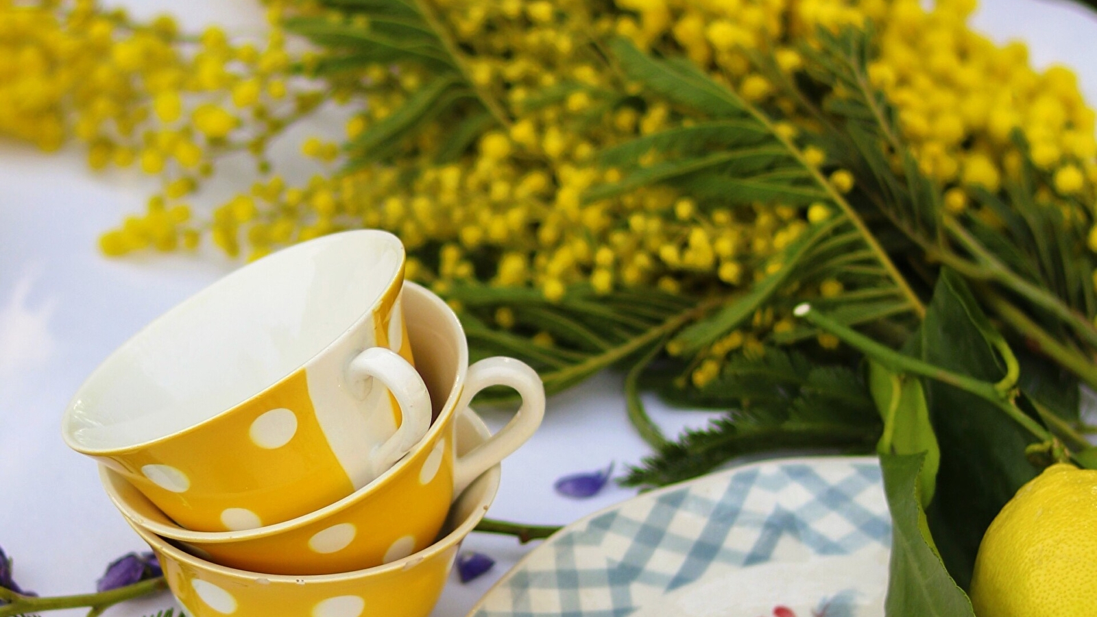 Fayencez-vous! Rendez-vous céramique en Grand Charolais #3