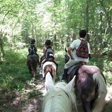 Poney Club de Saint-Christophe-en-Bresse 