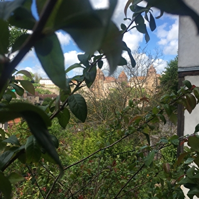 La maison verte sur le pont Pinard