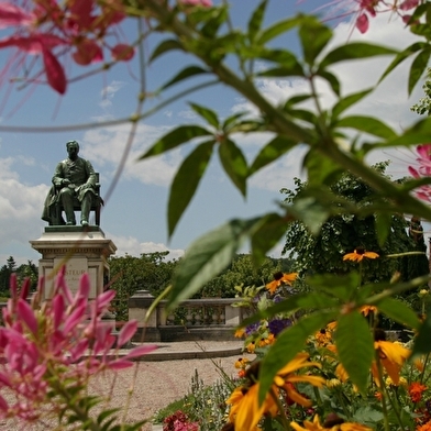 ARBOIS