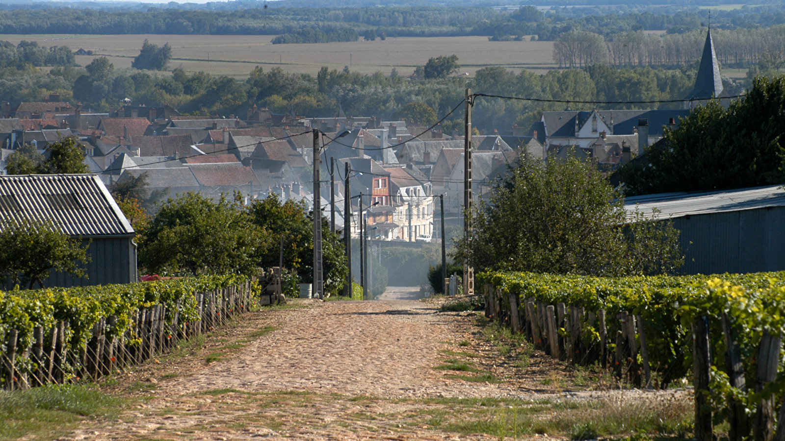 Camping municipal Le Malaga Pouilly sur Loire