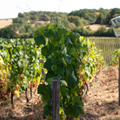 Domaine du Château de Rougeon - Découverte en Méhari