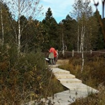 Sentier interprétation: sur les pas d'isenbart - NOEL-CERNEUX