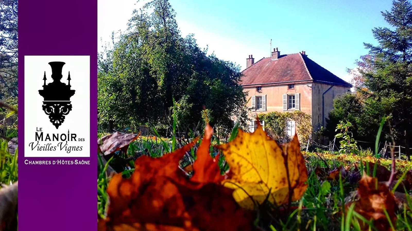 Le Manoir des vieilles vignes