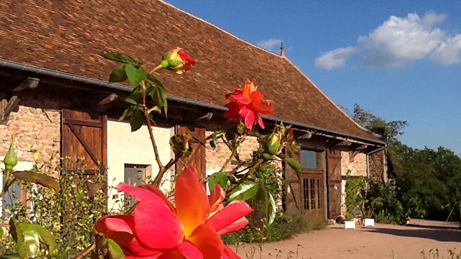 Gîte de Groupe La Forêt