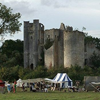 Château de Passy-les-Tours - VARENNES-LES-NARCY