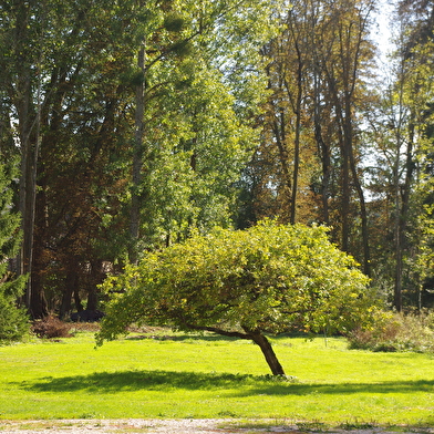 Gîte du Château de Bussy-la-Pesle