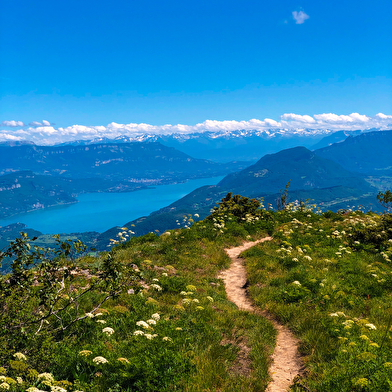 Parcours trail : montée du Grand Colombier depuis Munet
