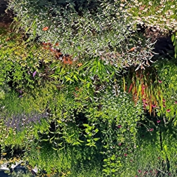 Journées portes ouvertes de jardins en pépinière à Cussy-en-Morvan - CUSSY-EN-MORVAN