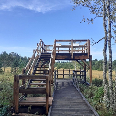 Tourbières de Frasne-Bouverans (Grande boucle - départ Chalet d'accueil)