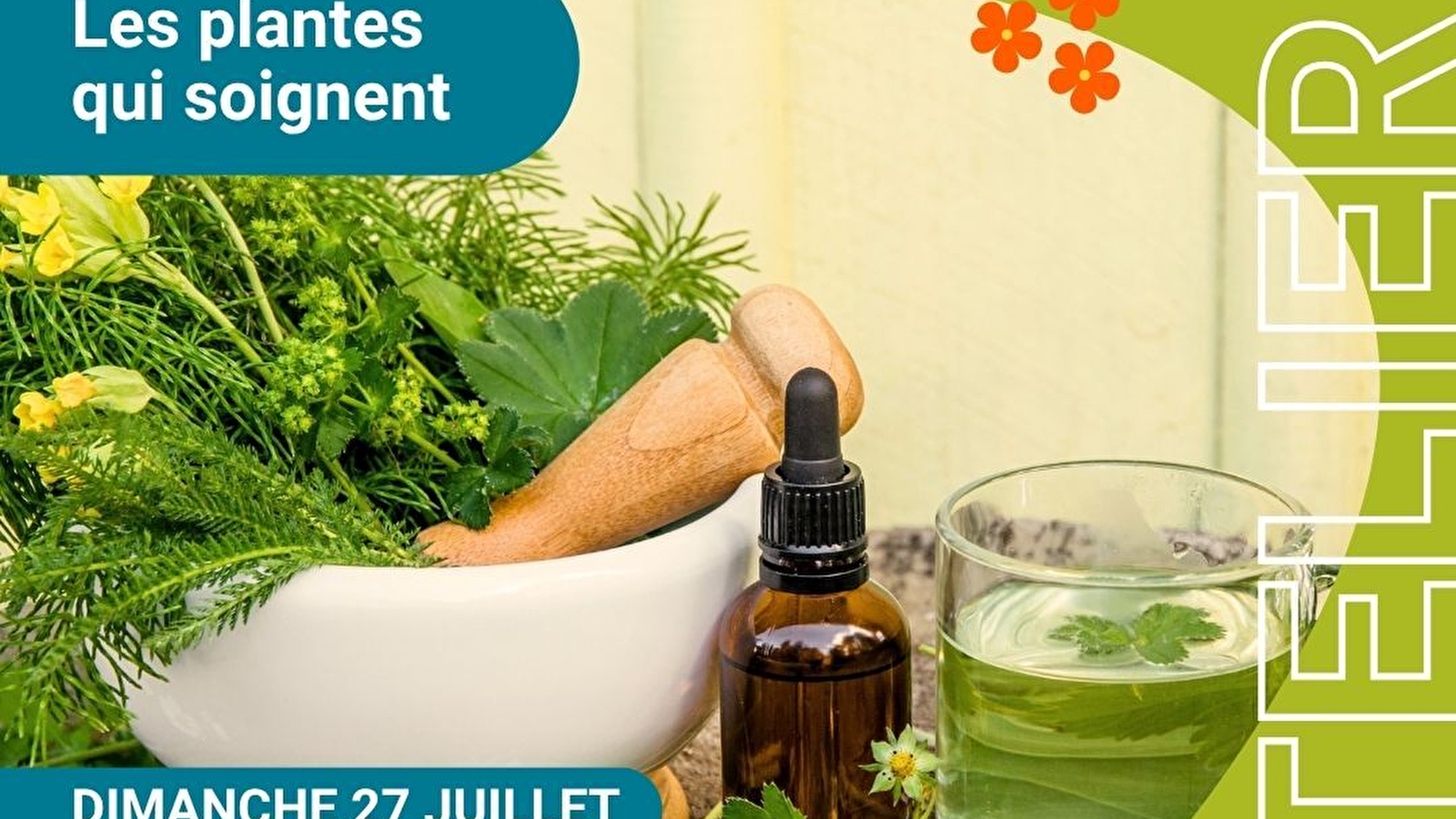 Atelier 'Les plantes qui soignent'