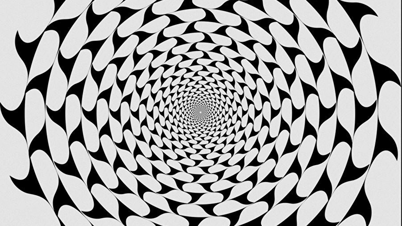 Atelier famille - Illusions d'optique
