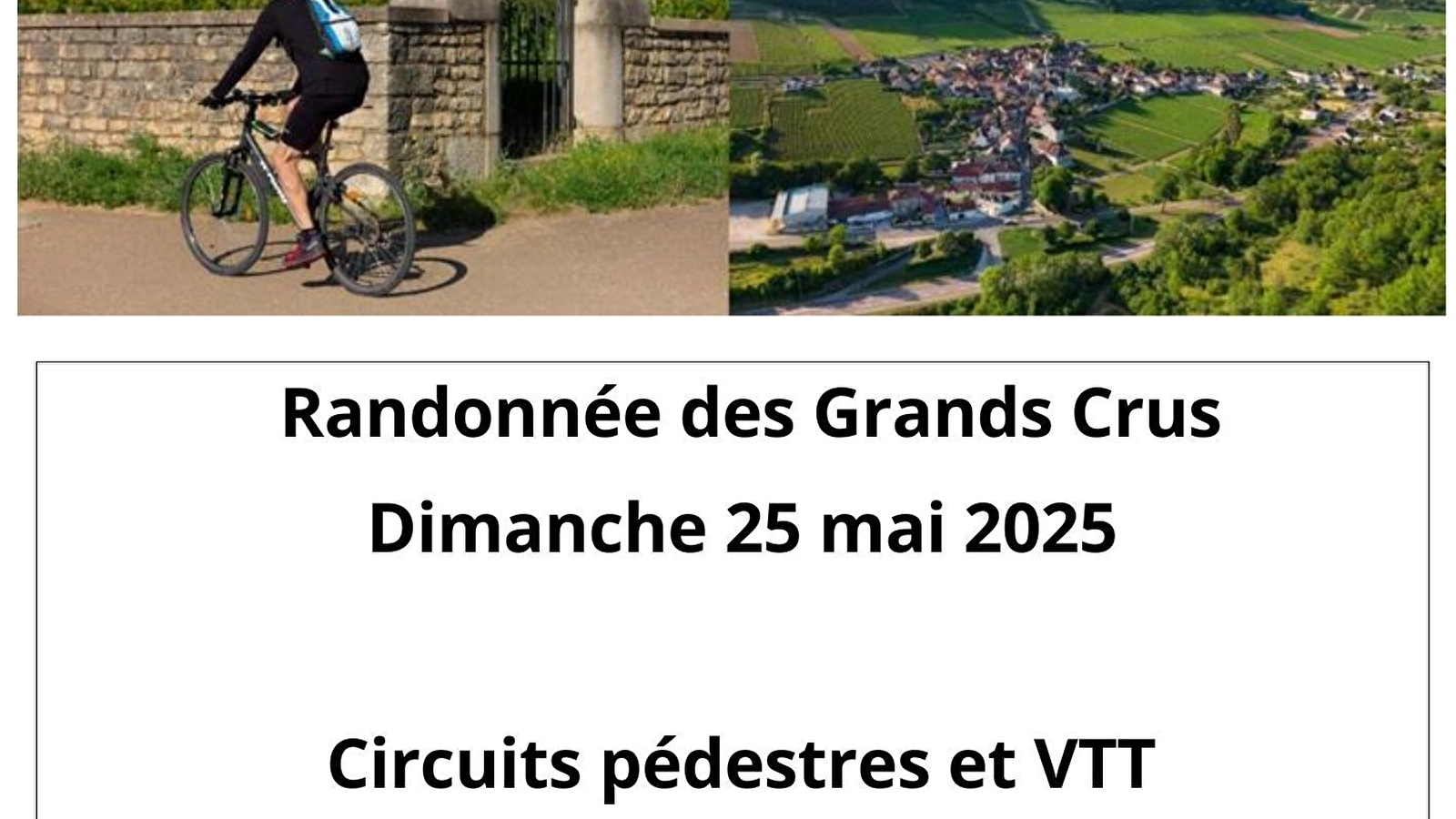 Randonnée des Grands Crus
